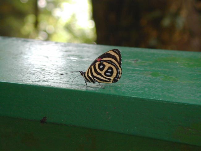DSCN3401