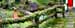 DSCN3523pan
